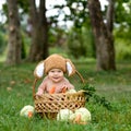 Cute little baby boy in suit of rabbit sitting on the grass in basket with cabbage and carrot. Nature park Royalty Free Stock Photo