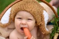 Cute little baby boy in suit of rabbit sitting on the grass in basket eating cabbage and carrot. Royalty Free Stock Photo