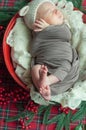 Cute little baby boy in a teddy hat in a Christmas basket decorated with pine needles and red berries Royalty Free Stock Photo