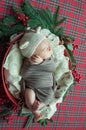 Cute little baby boy in a teddy hat in a Christmas basket decorated with pine needles and red berries Royalty Free Stock Photo