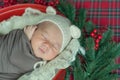 Cute little baby boy in a teddy hat in a Christmas basket decorated with pine needles and red berries Royalty Free Stock Photo