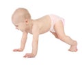 Cute little baby crawling