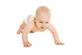 Cute little baby in diapers crawls on white background Royalty Free Stock Photo