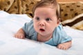 Cute little baby drool Royalty Free Stock Photo