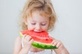 Cute little baby girl eating watermelon slice on light background Royalty Free Stock Photo