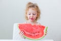 Cute little baby girl eating watermelon slice on light background Royalty Free Stock Photo