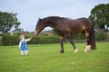 Cute little baby girl feeding big horse on ranch