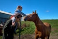 Cute little baby girl feeding a big horse on a ranch in autumn Royalty Free Stock Photo