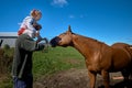 Cute little baby girl feeding a big horse on a ranch in autumn Royalty Free Stock Photo