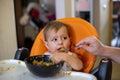 Cute little baby girl in an orange child seat put his hand in a plate and eats from the spoon held by the parent and looks at Royalty Free Stock Photo