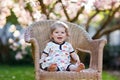 Cute little baby girl sitting on big chair in garden. Beautiful happy smiling toddler with blooming pink magnolia tree Royalty Free Stock Photo