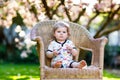 Cute little baby girl sitting on big chair in garden. Beautiful happy smiling toddler with blooming pink magnolia tree Royalty Free Stock Photo