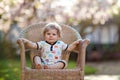 Cute little baby girl sitting on big chair in garden. Beautiful happy smiling toddler with blooming pink magnolia tree Royalty Free Stock Photo