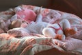 Cute little baby laying on back yawns on the soft cover Royalty Free Stock Photo