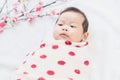 Cute little baby lies on a white cloth and wrapped in quilt, Looking around. on white background