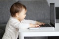 Cute little baby looking attentively at the screen of laptop with his hands on keyboard Royalty Free Stock Photo