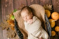 Cute little baby sleeping in a wicker basket of twigs with yellow leaves Royalty Free Stock Photo