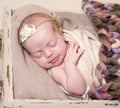 Cute little baby sweetly sleeping Royalty Free Stock Photo