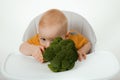 Cute little baby wearing bib while eating on white background. Cute baby eating broccoli. Green healthy vegetables rich Royalty Free Stock Photo