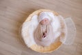 Cute little baby in white knitted hat lies in a wicker basket in a beige knitted blanket. Summer mood. Royalty Free Stock Photo