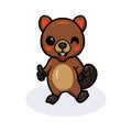 Cute little beaver cartoon giving thumb up Royalty Free Stock Photo