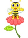 Cute little bee cartoon on red flower Royalty Free Stock Photo