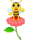 Cute little bee cartoon on red flower Royalty Free Stock Photo