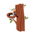 Cute Little Bird as Forest Habitant Sitting in Nest on Tree Trunk Vector Illustration Royalty Free Stock Photo