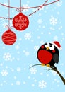 Cute little bird with Christmas balls Royalty Free Stock Photo