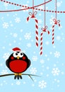 Cute little bird with Christmas candies