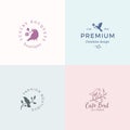 Cute Little Bird Vector Signs or Logo Templates Set. Classy Typography, Birds and Flowers. Premium Quality Feminine