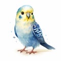 Colorful Speedpainting Of A Cute Budgerigar On White Background Royalty Free Stock Photo