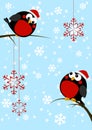 Cute little birds with Christmas snowflakes Royalty Free Stock Photo