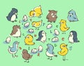 Cute little birds