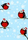 Cute little birds on winter background Royalty Free Stock Photo