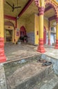 a cute little black calf tide near Brightly Painted Krishna Temple