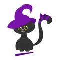 Cute little black cat in a witch`s hat. The witch cat isolated on white. Design for Halloween. Royalty Free Stock Photo