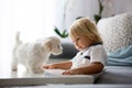 Cute little blond child, toddler boy, playing with white puppy maltese dog Royalty Free Stock Photo