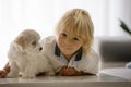 Cute little blond child, toddler boy, playing with white puppy maltese dog Royalty Free Stock Photo