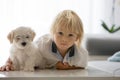 Cute little blond child, toddler boy, playing with white puppy maltese dog Royalty Free Stock Photo