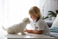 Cute little blond child, toddler boy, playing with white puppy maltese dog Royalty Free Stock Photo