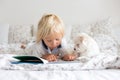 Cute little blond child, toddler boy, reading book with white puppy maltese dog Royalty Free Stock Photo
