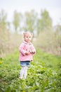 Cute little blond girl standing in orchard and holding a apple t Royalty Free Stock Photo