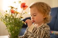 Cute little blonde caucasian pretty baby girl, toddler, infant of 1-2 year old touching looking at field wild flowers Royalty Free Stock Photo