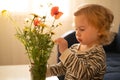 Cute little blonde caucasian pretty baby girl, toddler, infant of 1-2 year old touching looking at field wild flowers Royalty Free Stock Photo