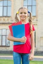 Cute little bookworm. Cute smiling small child hold books educational institution background. Adorable little girl Royalty Free Stock Photo