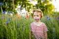 Cute little boy admiring poppy and knapweed flowers in blossoming poppy field on sunny summer day