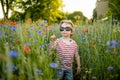 Cute little boy admiring poppy and knapweed flowers in blossoming poppy field on sunny summer day