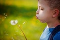 Cute little boy blowing dandelion in spring garden. Springtime. Royalty Free Stock Photo
