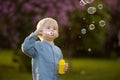 Cute little boy blowing soap bubbles in beautiful summer park Royalty Free Stock Photo